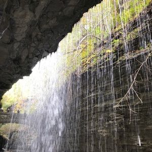 Meet your Posher, Celeste